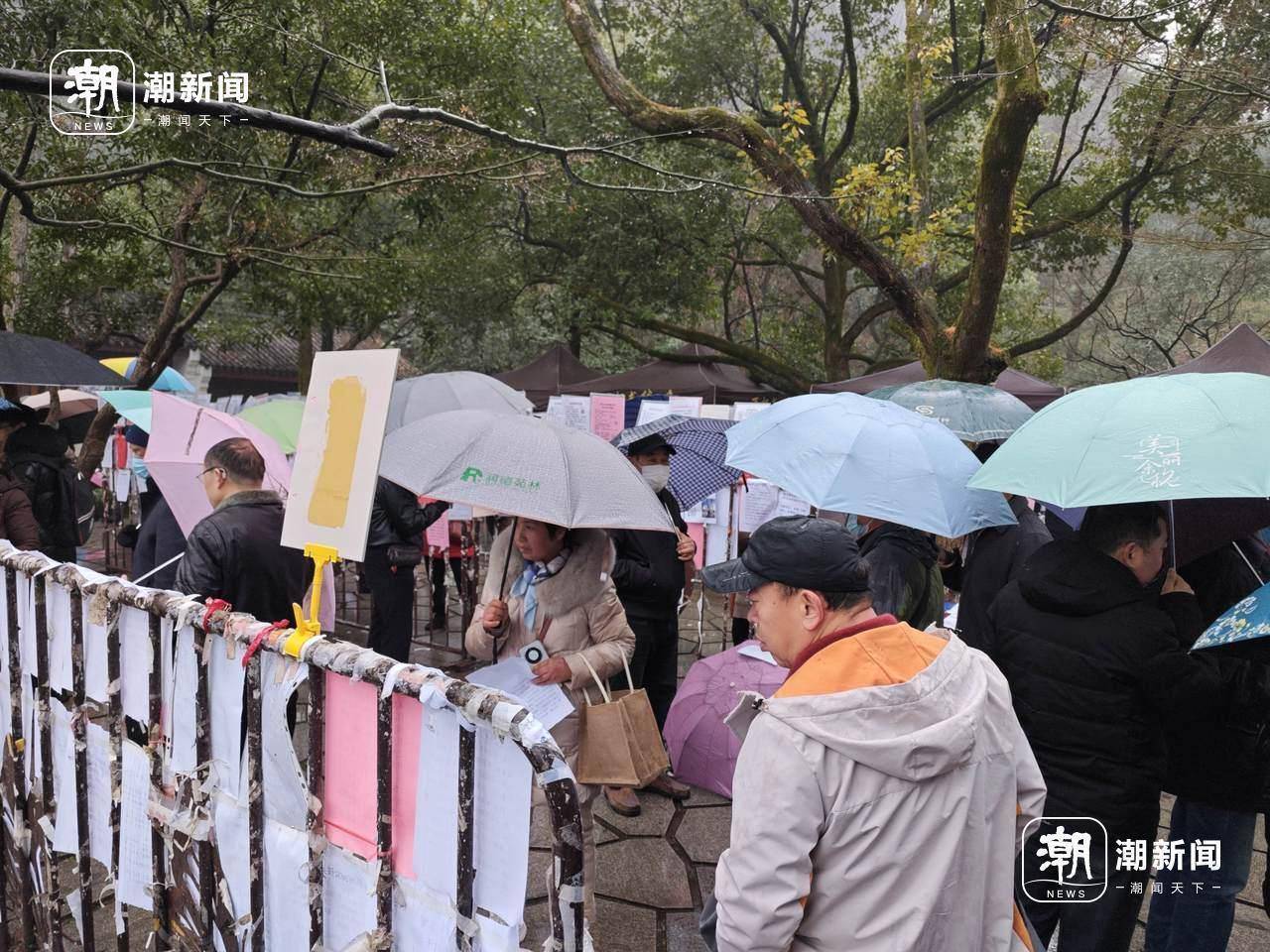 相亲角人气依旧旺有人天不亮就赶来龙8手机登录入口下着雨的万松书院(图2)