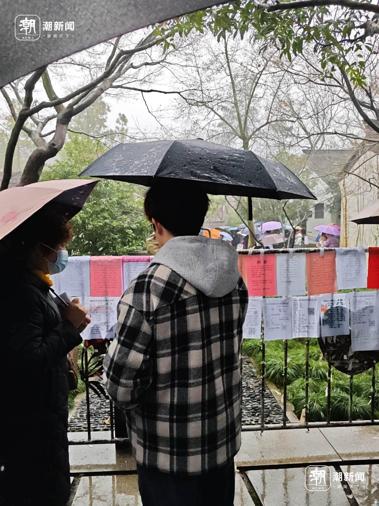 相亲角人气依旧旺有人天不亮就赶来龙8手机登录入口下着雨的万松书院(图3)