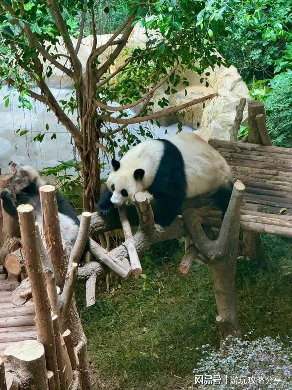 几月份去旅游景点 玩转精华！成都的著名景点推荐 四川适合(图5)